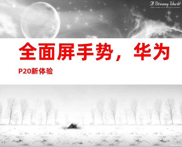 全面屏手势，华为P20新体验